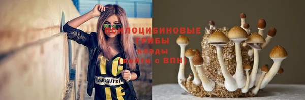 spice Арсеньев