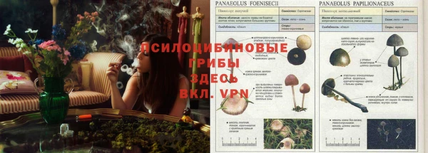 мескалин Армянск