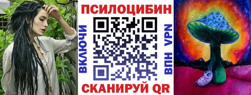 Псилоцибиновые грибы Psilocybine cubensis  Северо-Курильск 