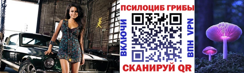 Галлюциногенные грибы мицелий Северо-Курильск